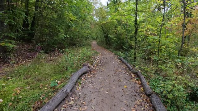Walking POV along dirt trail in forest with natural birds singing sound audio