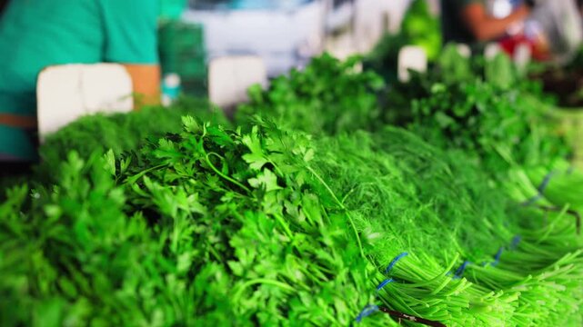 Bunches of fresh parsley, dill and assorted herbs arranged at local farmers market. Seasonal agricultural produce, small farm businesses, local food trade, fresh ingredient shopping