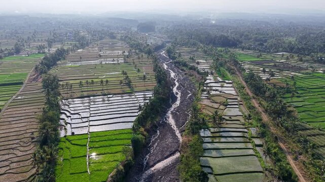 Aerial view over lush rice paddies and winding river at Candipuro, Lumajang