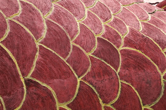 Rough textured wall with fish scale pattern creating a unique decorative surface design.