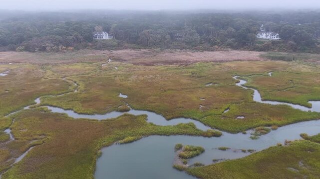 Low clouds drift over a beautiful salt marsh growing in Orleans, Massachusetts. Salt marshes are an incredibly important coastal habitat used by many species of fish, birds, and shellfish.