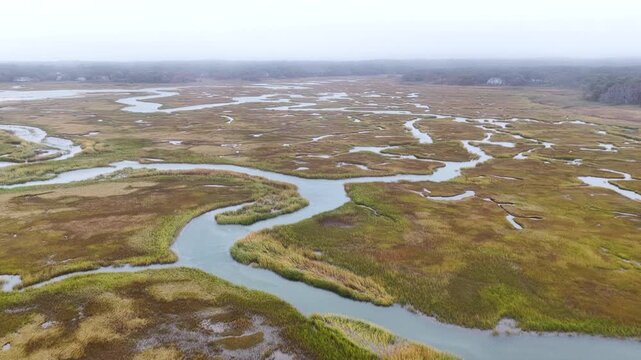 Low clouds drift over a beautiful salt marsh growing in Orleans, Massachusetts. Salt marshes are an incredibly important coastal habitat used by many species of fish, birds, and shellfish.