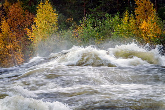 Storforsen rapids in northern Sweden, surging through rocky channels beneath autumn foliage and sending mist above the Pite River in a vivid landscape attracting nature travelers