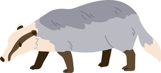 European badger, wild forest animal. Europe Meles, woods mammal with tricolor fur. Eurasian fauna. Flat vector illustration isolated on white background. © Good Studio
