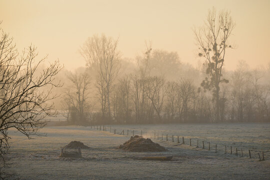 Paysage de prairie givr&eacute;e avec le tas de fumier qui fume et la silhouette des arbres au lever du soleil, un matin brumeux