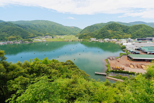 Calm Bay and Wooded Hills Framed by Green Foliage
