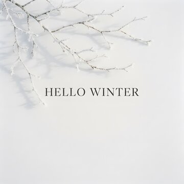 Delicate frost covers bare branches in a peaceful and serene winter landscape