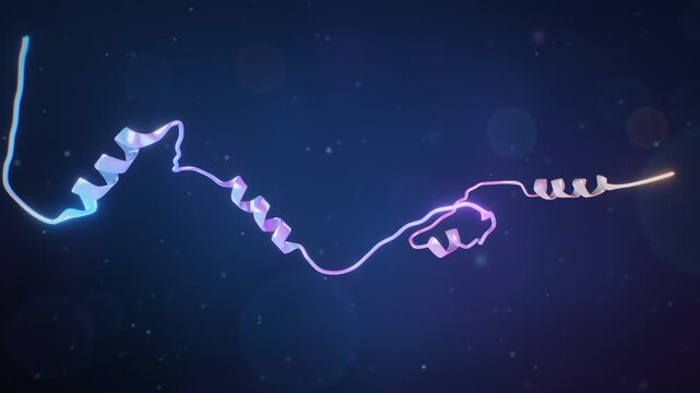 3D ribbon protein structure slowly folding from unfolded polypeptide chain into alpha helices and beta sheet
