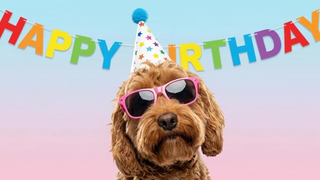 Funny dog in party hat and sunglasses with happy birthday banner. Curly puppy celebrating birthday under colorful garland on pastel background. Pet party and greeting card