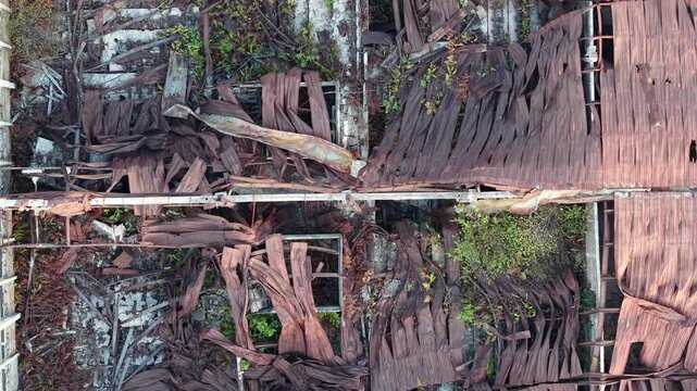 Overhead drone shot showing collapsed corrugated metal roof with vegetation reclaiming industrial ruin