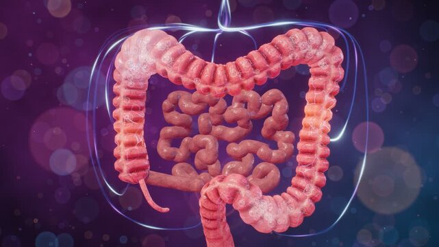 Irritable Bowel Syndrome 3D animation colon spasms bloating gas bubbles abdominal pain gut brain axis nerve signals
