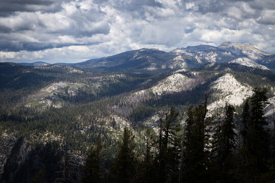 Scenic view of granite mountains and pine forest in Yosemite National Park California