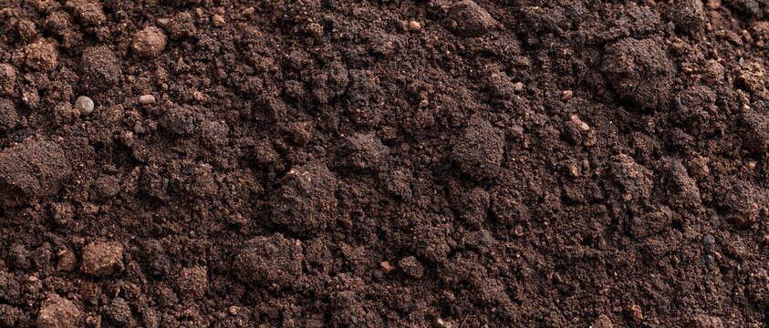 Close-up overhead view of tilled garden soil filling the frame