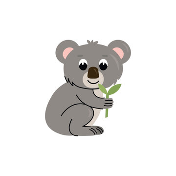 Cute cartoon koala for children, isolated on a white background.