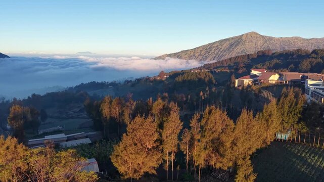 Mist drifts across rolling hills at sunrise. Golden light kisses tree tops and rooftops at Cemoro Lawang