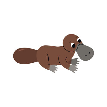 Cute cartoon platypus for children, isolated on a white background.