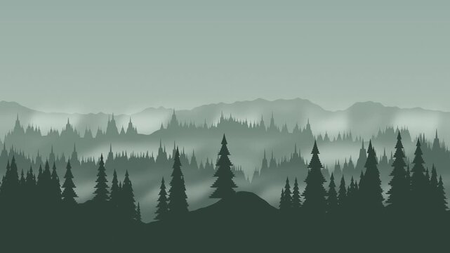 Misty pine forest ridges with drifting valley fog seamless loop