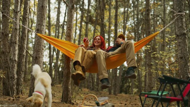 Woman shares apples and conversation with a couple in a hammock beneath pine trees as their dog explores the forest campsite.