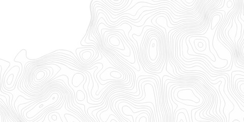 Abstract topography pattern seamless lines sea map modern design white background. Abstract digital topographic contour map concept space geometric strip grid line. Natural discovery of maps. © coal digger