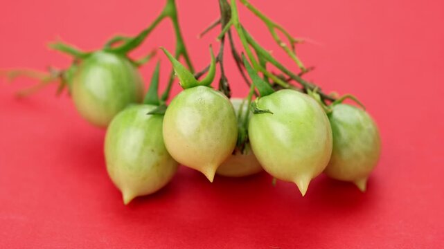 Cluster of fresh unripe green cherry tomatoes on vine rests against vibrant solid red surface, displaying healthy homegrown organic produce with pointed tips under studio illumination