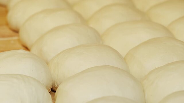 Fresh round dough portions rest closely together on bakery worktable. Smooth pieces keep even form waiting for next stage of baking process