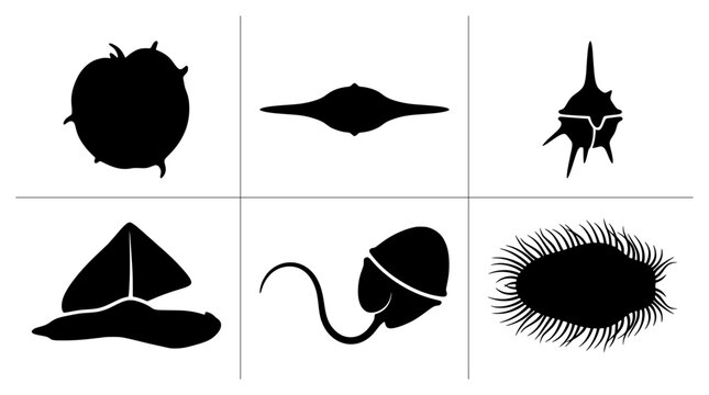 Microorganism silhouettes with bacteria, plankton and sperm