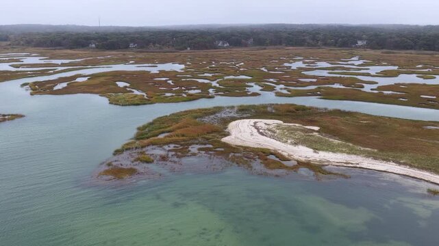 Low clouds drift over a beautiful salt marsh growing in Orleans, Massachusetts. Salt marshes are an incredibly important coastal habitat used by many species of fish, birds, and shellfish.