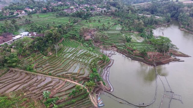 Lush green rice paddies stretch across rolling hills. Water reflects sky, gently rippling with calm at Lahor Dam