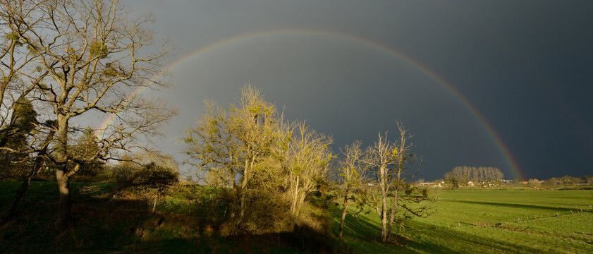 Demi arc-en-ciel au-dessus des arbres dans une prairie, format banni&egrave;re