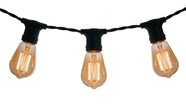 Edison string lights with amber bulbs and black sockets, isolated on transparent background
