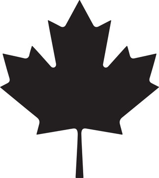vector illustration of a maple leaf