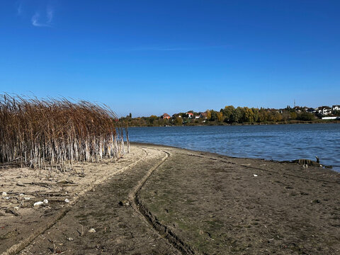 Dry reeds and exposed muddy lakeshore beside calm blue water with distant houses and autumn trees under clear sky