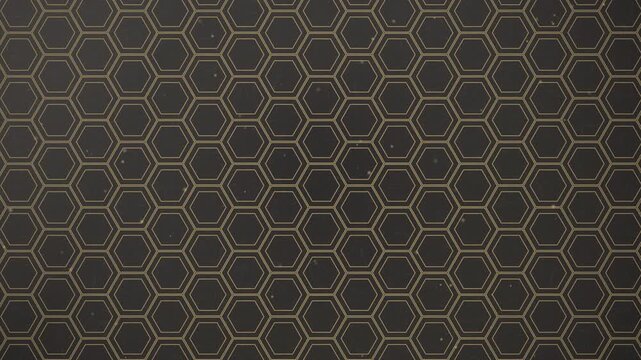 Black kikko tortoiseshell hexagon pattern with thin gold lines