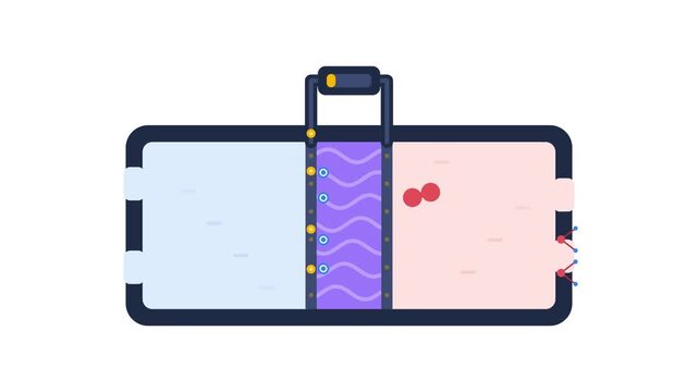 Top View Swimming Pool Lane Divider Illustration