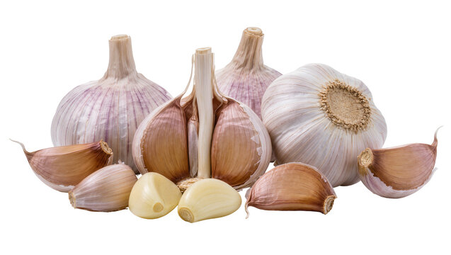 Whole garlic bulbs and cloves, isolated on transparent background