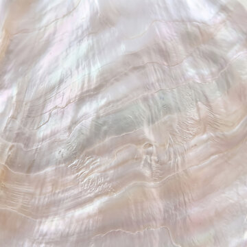 Mother of Pearl Texture