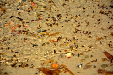 łagodne fale przejrzystej wody na piasku, delikatne, połyskujące w słońcu fale na piaszczystym brzegu, waves of clear water on the sand, deep waves on the shore © kateej