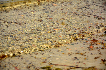 łagodne fale przejrzystej wody na piasku, delikatne, połyskujące w słońcu fale na piaszczystym brzegu, waves of clear water on the sand, deep waves on the shore © kateej