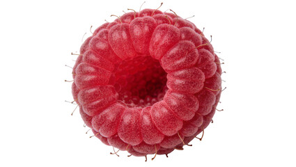 Single ripe red raspberry with tiny hairs, isolated on transparent background © Maria
