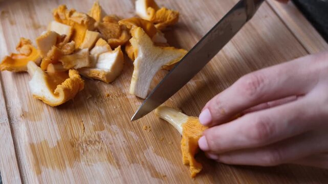 Close-up video of hands cutting fresh golden chanterelle mushrooms with a kitchen knife on a wooden cutting board