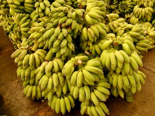 bunch of bananas © T