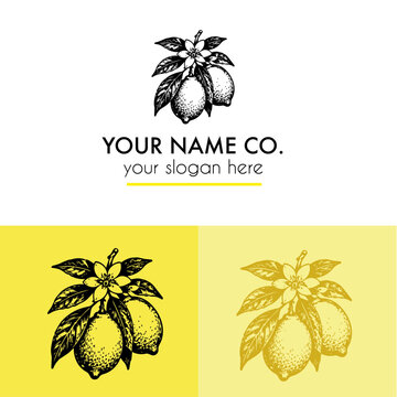Hand drawn lemon logo in a vintage style of engraving 