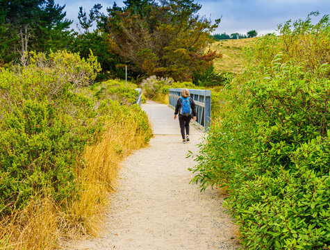 Female Hiker on The Limantour Beach Trail, Pt. Reyes National Seashore, California, USA