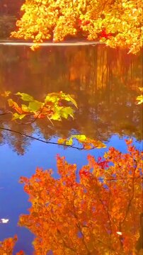 Vibrant Autumn Foliage Mirrored Perfectly on a Calm Lake Surface