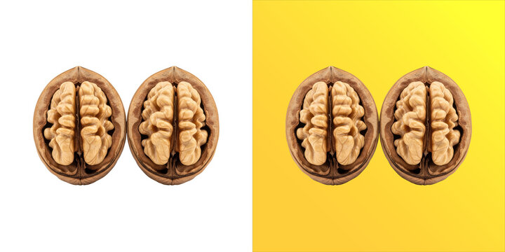Two halves of a cracked walnut showing the textured kernel inside, isolated on a white background, healthy organic snack and natural food