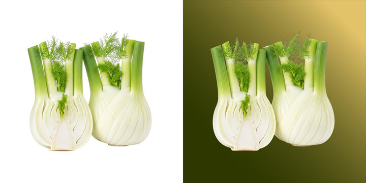 Two halves of fresh fennel bulb with green stalks and feathery leaves, isolated on a white background, healthy vegetable for culinary use