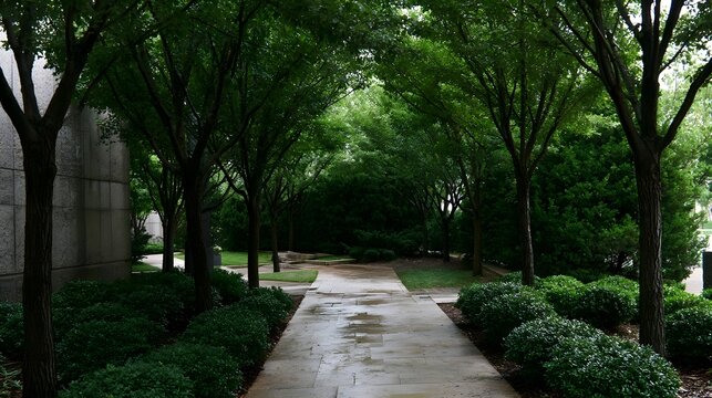 A serene stone pathway winds through a lush green garden shaded by tall trees  creating a peaceful and contemplative atmosphere