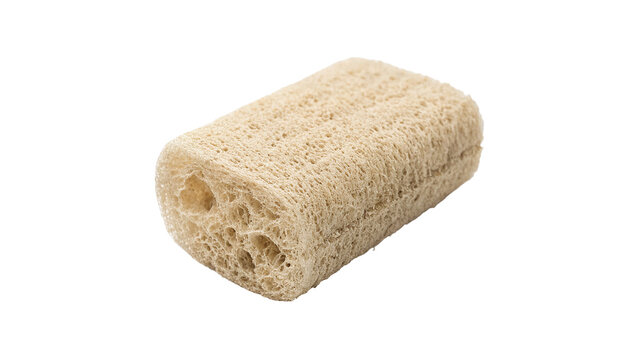 Natural organic loofah sponge luffa body scrubber block isolated on transparent background.