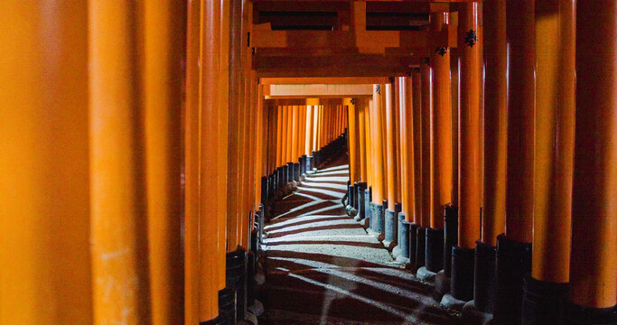 Kyoto, Kyoto Prefecture, Japan - 12 April 2025: View of the iconic vermilion torii gates at Fushimi Inari Taisha, creating a rhythmic tunnel effect with dramatic shadows cast on the path.