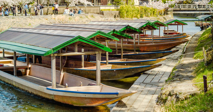 Kyoto, Japan - 10 April 2025: View of Arashiyama with traditional wooden boats moored along the riverbank under blooming cherry trees.